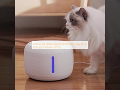 Dispensatore d'acqua per animali domestici per interni Resina Lady in bronzo 213×213×145mm 5V DC