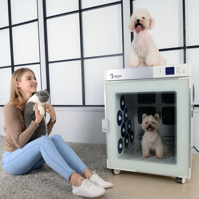 Macchina Ion Bath Near Infrared Therapy negativo del fon del cane del Governo
