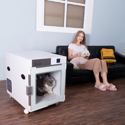 Il cane automatico che asciuga gli ioni negativi della scatola efficacemente rimuove i batteri per ammorbidire i peli