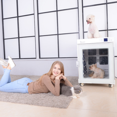 Macchina intelligente di fon dell'animale domestico di controllo dello schermo del locale essiccatoio 220V 2700W Smart dell'ANIMALE DOMESTICO