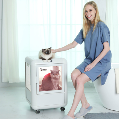 Soffiatore per animali domestici con display a LED intelligente con 4 diversi ugelli Acqua per cani e gatti