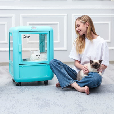 Soffiatore per animali domestici con display a LED intelligente con 4 diversi ugelli Acqua per cani e gatti