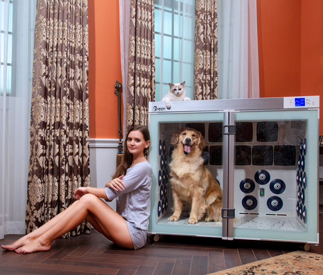 ventilatori più asciutti della gabbia 6 dell'animale domestico di 220V 2500W a basso rumore per governare del cane