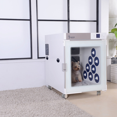Asciugacapelli per animali domestici intelligente a forma di cubo Scatola di asciugatura automatica per animali domestici per gatti Teddy