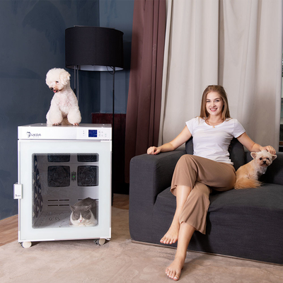 Asciugacapelli per animali domestici intelligente a forma di cubo Scatola di asciugatura automatica per animali domestici per gatti Teddy