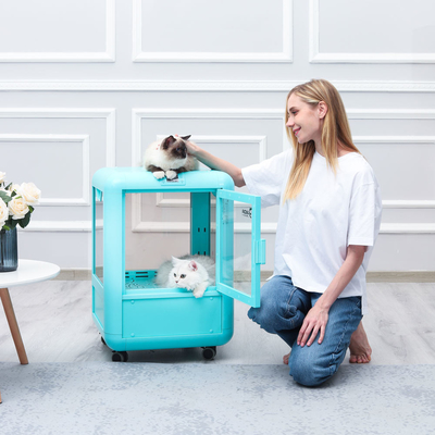 Governare automatico dell'essiccatrice blu del cane con il sensore di temperatura